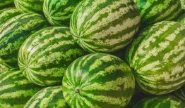 朝阳吃瓜群众网 吃瓜--大赛每日芋圆呀呀吃瓜,吃瓜大赛中的甜蜜见证